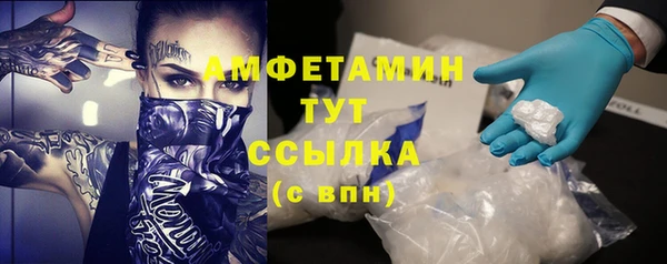 крисы Алексин