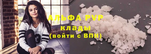 крисы Алексин