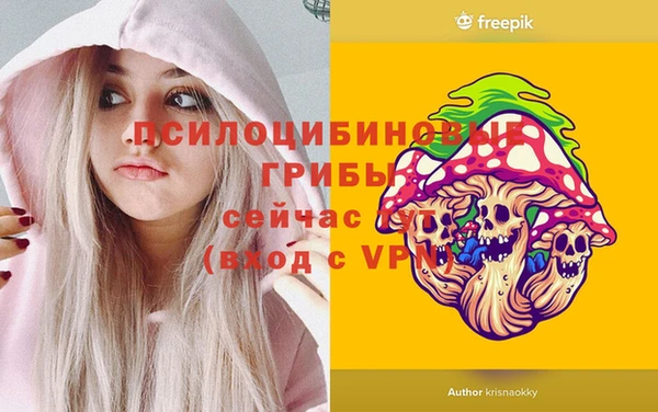 мдпв Алзамай