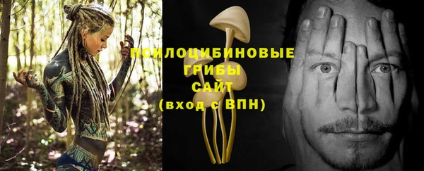 крисы Алексин