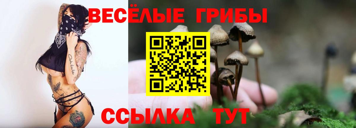 Арзамас  где найти наркотики  Вход с VPN  Псилоцибиновые грибы мицелий 